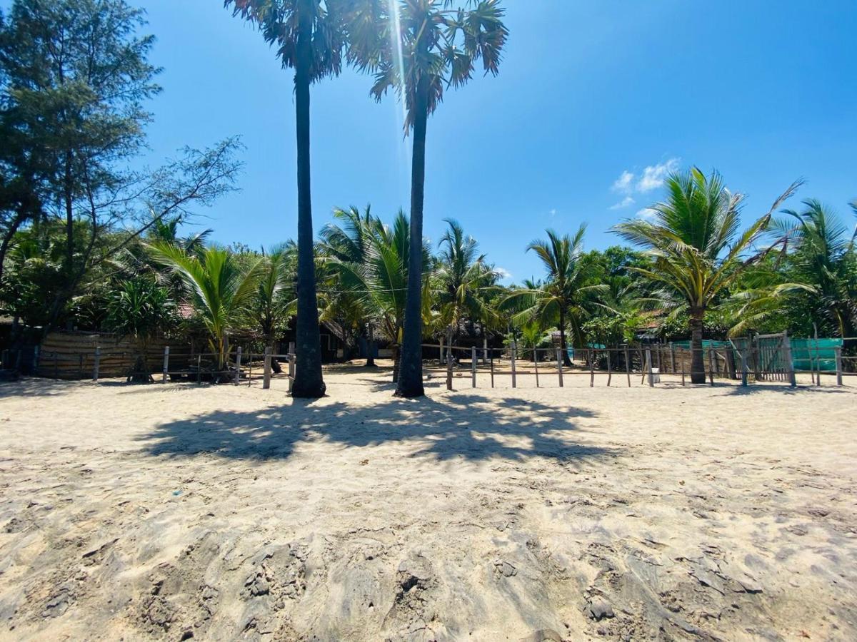 Air Lush Beach Cabanas Arugam Bay Exteriér fotografie